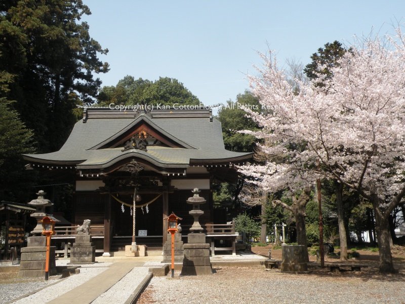 高徳神社