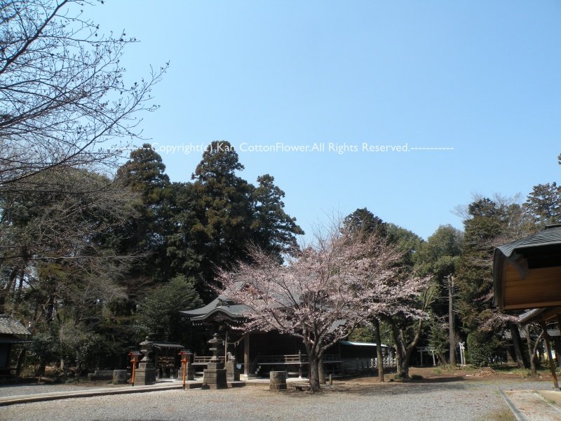 高徳神社