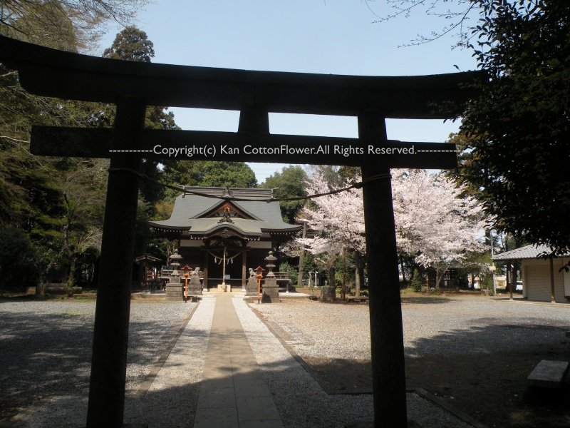 高徳神社