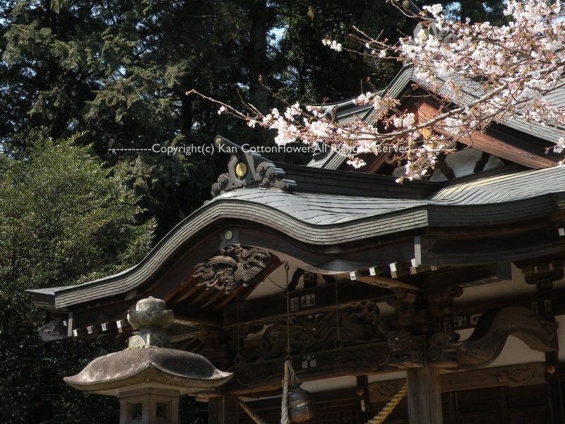 高徳神社