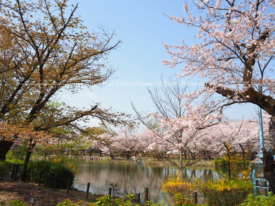 鶴ケ島運動公園