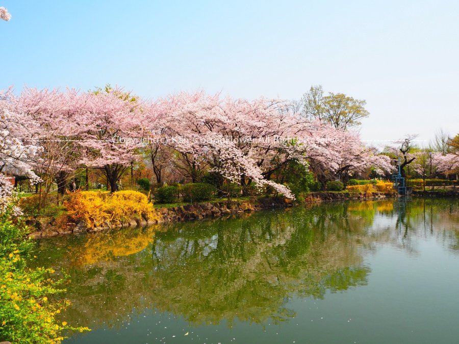 鶴ケ島運動公園