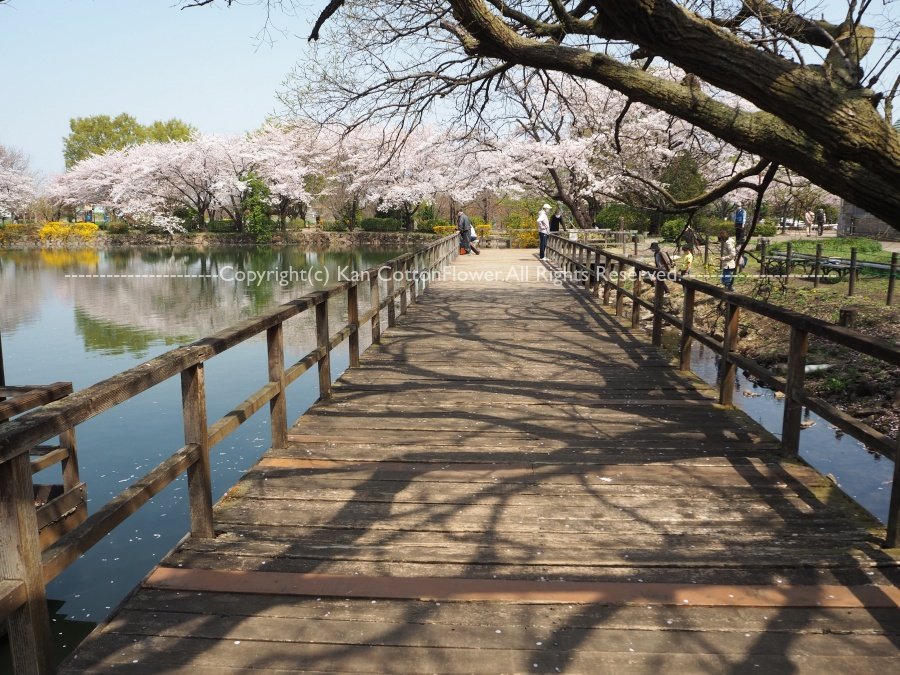 鶴ケ島運動公園